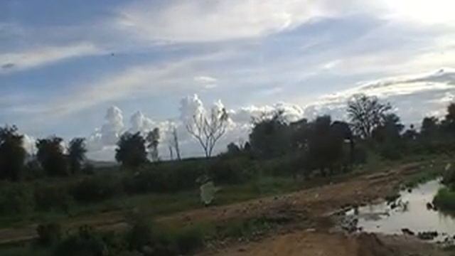 Встретили cлона в Африке :) смотреть онлайн