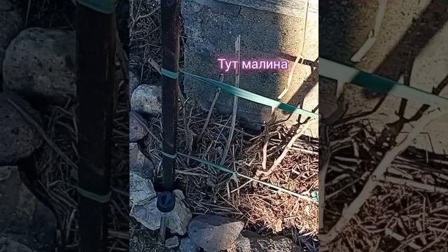 Сею в грунт шпинат,салат под агроволокно смотреть онлайн