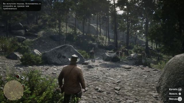 3  Red Dead Redemption 2 - ПОХМЕЛЬЕ