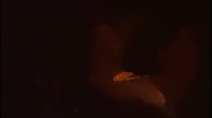 Путешествие в страну великанов. Мультфильм. 1947г.