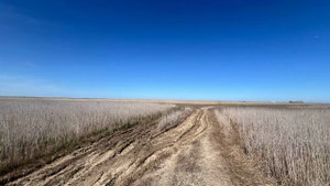 г. Феодосия ул.Семиренко 14