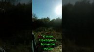 Уголок Природы в Большом Городе #jazz #music #love #song #здоровь