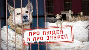 НОВОСТИ КАМЧАТКИ: ПРО ЛЮДЕЙ И ПРО ЗВЕРЕЙ