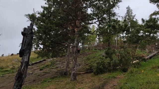 ЮЖНЫЙ УРАЛ. СУГОМАК И АЛЛАКИ