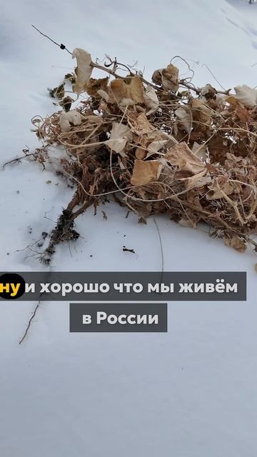 #юмор #деревня #лайфхак #дача