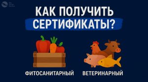 Как получить фитосанитарный и ветеринарный сертификаты?