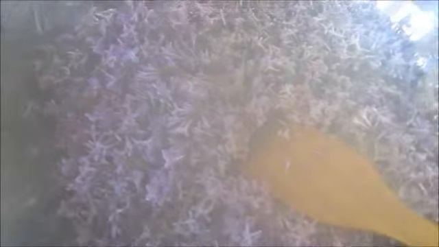 Варенье из Сирени.