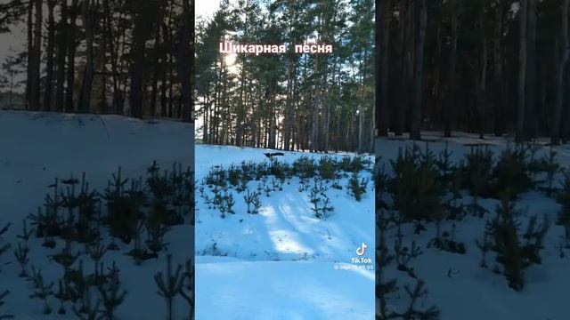 1000089253.mp4