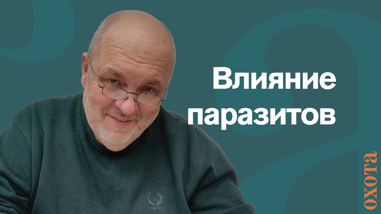 Влияние паразитов. Валерий Кузенков о болезнях животных.