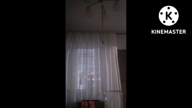 радужные друзья съели Магу Джалалова