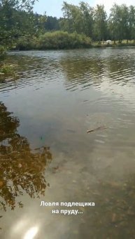 Ловля подлещика на пруду.
