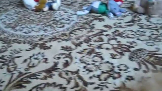 Матвей Из Усадьбы Андреевых смотреть онлайн