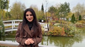 Что посадить на участке у воды? Растения для сада у вод