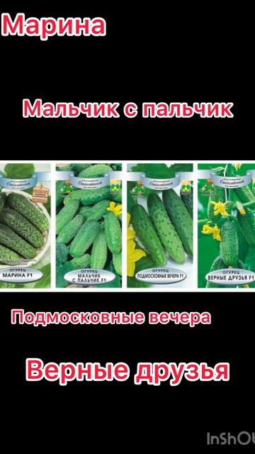 Лучшие сорта огурцов для посадки