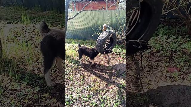 1000017615.mp4