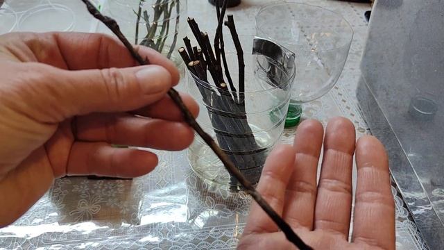 Корни быстро отрастают. Радигрин. смотреть онлайн