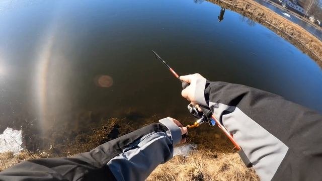 ФОРЕЛЬ ЖРËТ ЭТУ ПРИМАНКУ! ЛОВЛЯ ФОРЕЛИ НА ПЛАТНОМ ВОДОËМЕ🔥