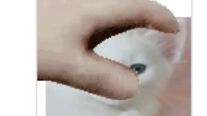 Как погладить снежка