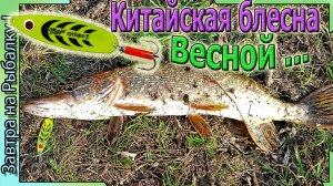Китайские блёсна по весне рулят .... Рыбалка на щуку 2025 (Воронежская область)
