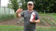 Каждый год делаем такую обработку всех растений огороде!!