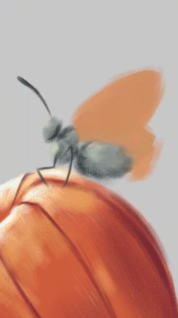 кто не знал эти растения называются Физалис #artist #твор? смотреть онлайн