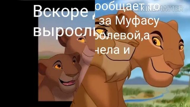 История Джамили заказ