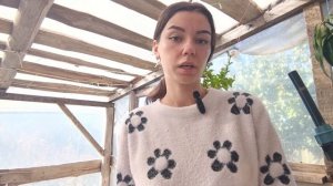Чем обеззаразить почву от болезней и вредителей осень