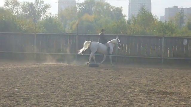 Рысь на Мыше смотреть онлайн