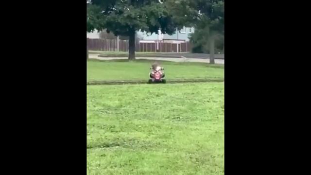 ЛУЧШИЕ ПРИКОЛЫ, ТОЛЬКО САМЫЕ СМЕШНЫЕ ВИДЕО, УЙМА СМЕХА, ПРАНКИ НАД ЛЮДЬМИ