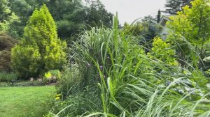 САДЫ США. ПРЕКРАСНЫЙ ЛЕТНИЙ САД ПОД БОСТОНОМ