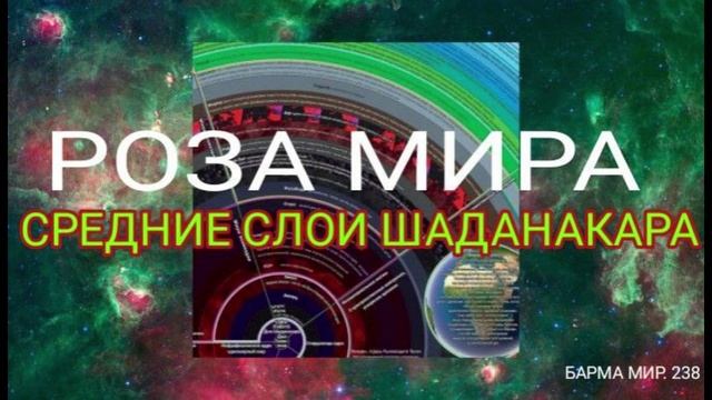 РОЗА МИРА - СРЕДНИЕ СЛОИ ... -