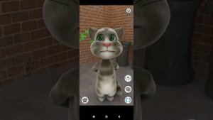 старые версии моего говорящего Тома и удалённые игры из google play моего говорящего Тома