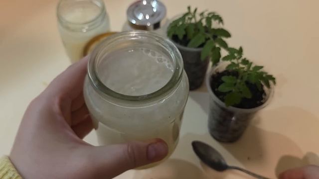 1 Ложка и рассада толстеет на глазах! Лучшая подкормка смотреть онлайн