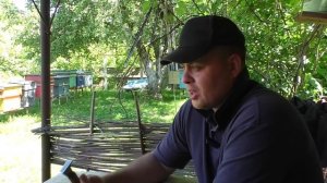 Через сколько дней после выхода должна засеять молода