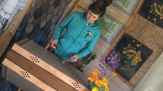 Монохорд как ударный инструмент. С.Виноградова. "Мы будем жить вечно"