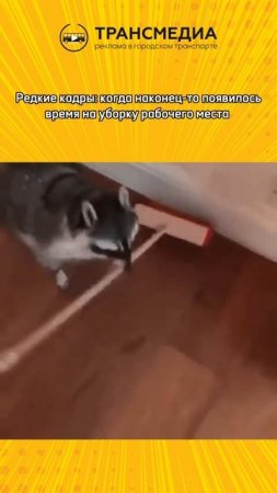 в вы сделали уборку?
