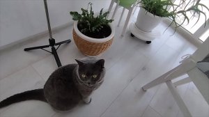 Мужа выписали из больницы