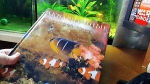 Совет начинающим аквариумистам и про книги.