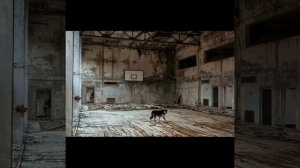 #рекомендации #реки #рек #припять как выглядит сейчас п