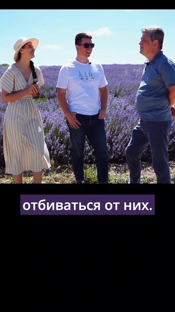 Шалфей отлично для волос, а лаванда после солнца. Крым? смотреть онлайн