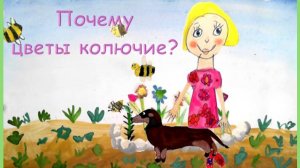 Почему цветы колючие?