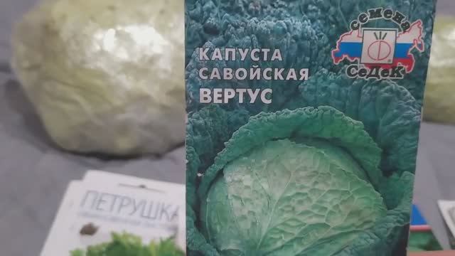 Лучшая капуста сезона 2023 года .