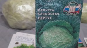 Лучшая капуста сезона 2023 года .