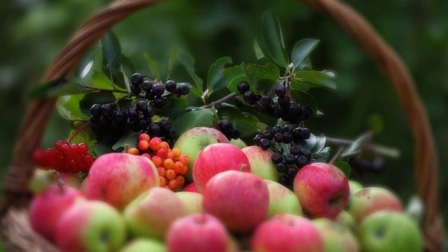 со с яблочный спасом поздравление на 2016 год для всех друзей