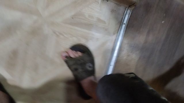 катята уже подросли