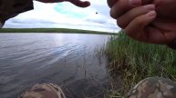 Рыбалка на пруду ловля красноперки, плотвы, окуня на п?