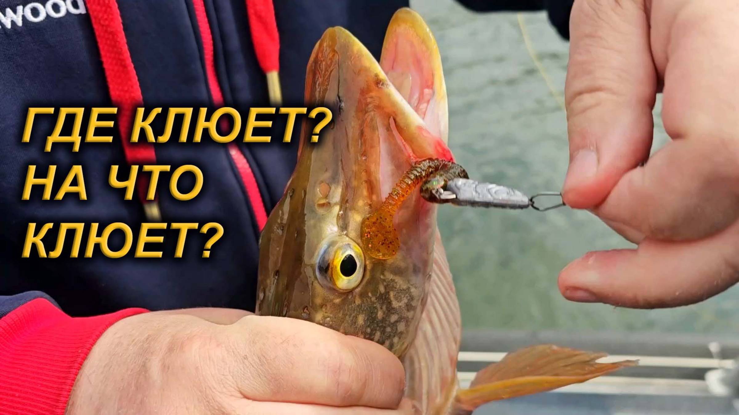 Открытие по щуке на Красноярском водохранилище.