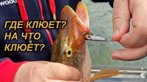 Открытие по щуке на Красноярском водохранилище.