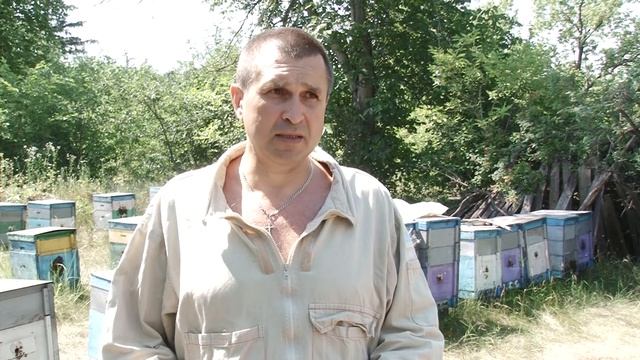 Бджолярі готуються до медового фестивалю смотреть онлайн