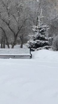 Погода чудесная❄️😊❤️😍(г.Оренбург; 07.03.2025 г.)